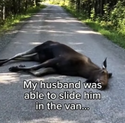 P1306012 Stay tuned for updates ❤️ (Part 2)