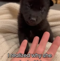 F1306007 She Attacked His Baby Because He Born Blind (Part 2)