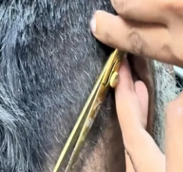 X1106007 Free haircut from Homeless to Handsome (Part 2)