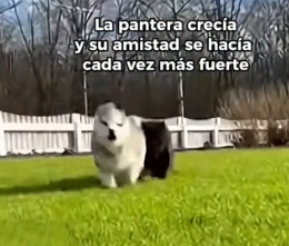 A0206011 Nadie entendía su amistad… hasta que los separaron y volvió a verla (Part 2)