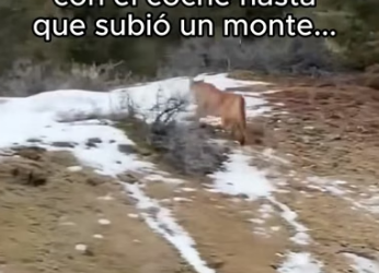 B0206001 El hombre le salvo la vida �❤️ (Part 2)