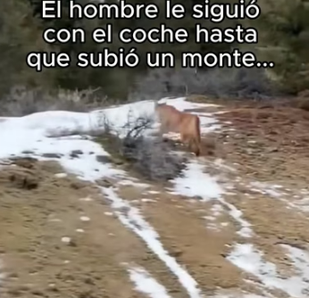 B0206001 El hombre le salvo la vida �❤️ (Part 2)