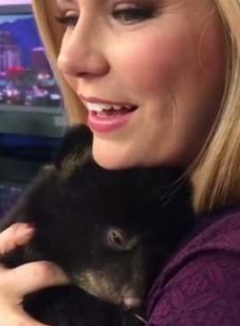 H0306001 I found a shivering orphaned bear cub in the snow, I rescued him,and then (Part 2)