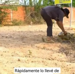 R1003001 I saw a cat and a dog in the mud; their hands and feet were tied, and their mouths were also (Part 2)
