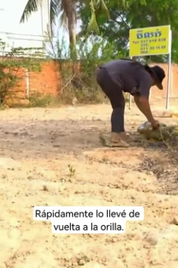 R1003001 I saw a cat and a dog in the mud; their hands and feet were tied, and their mouths were also (Part 2)