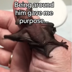 T0406007 Watch me raise a bat (Part 2)