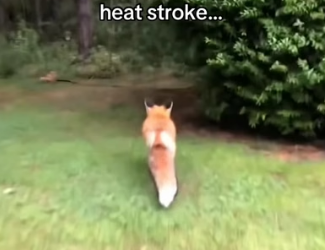 T0406004 My life will never be same (Part 2)