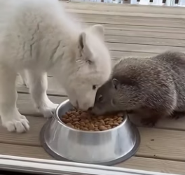 F0506005I witnessed a friendship that transcended racial boundaries (Part 2)