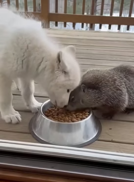 F0506005I witnessed a friendship that transcended racial boundaries (Part 2)