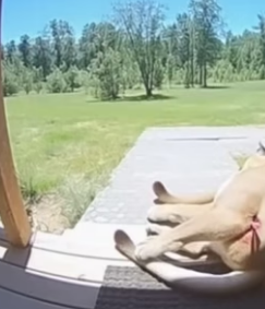 P0506002 I did not expect that (Part 2)